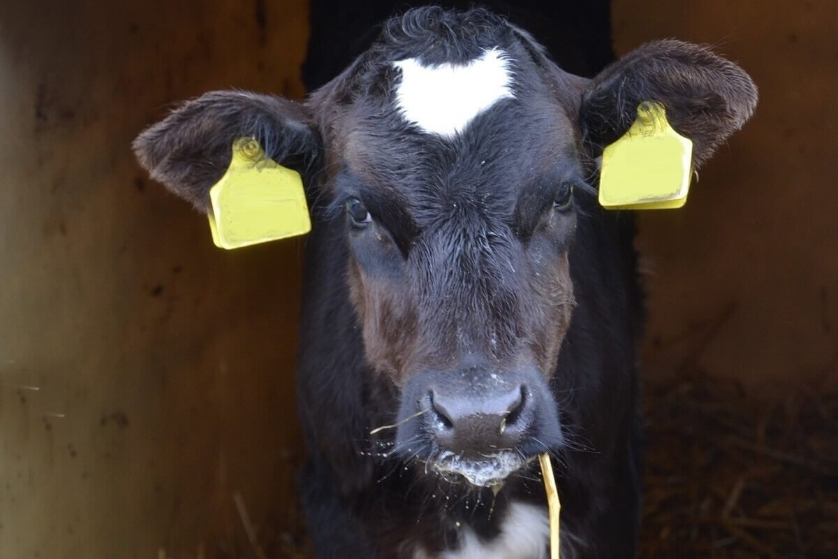 Karen Soeters tweet media