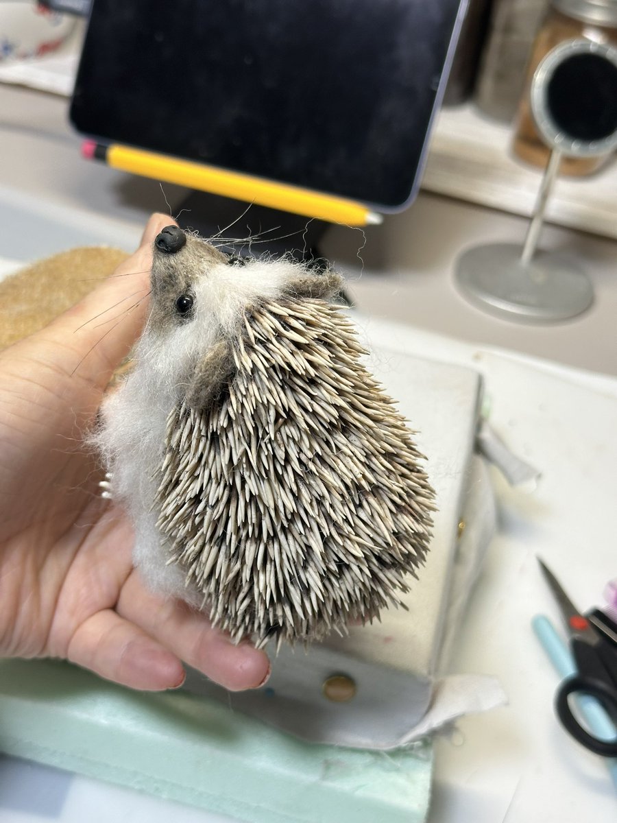 Hiroko_NeFe's tweet image. ハリネズミやっと完成しました
針を自作すると言う工程にバカみたいに時間がかかりましたが、持つとチクチク痛いところまで再現できたハリネズミ。
無事完成できて満足です！