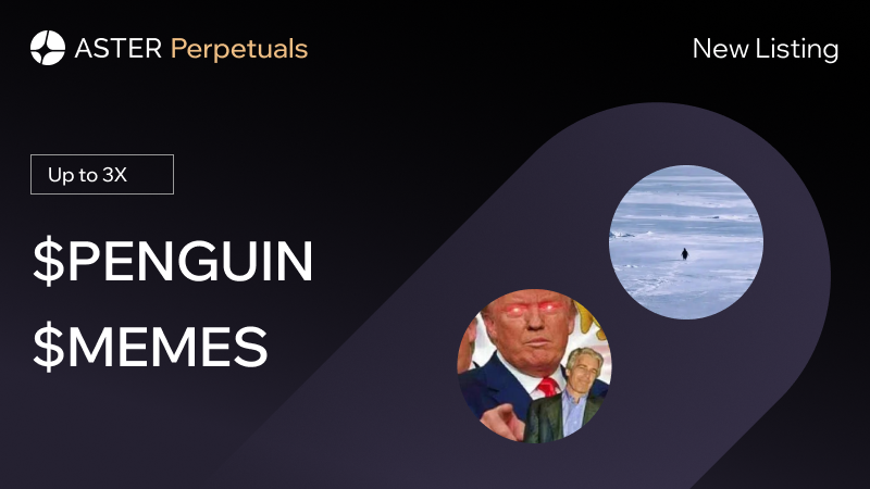 Aster 🥷 tweet media