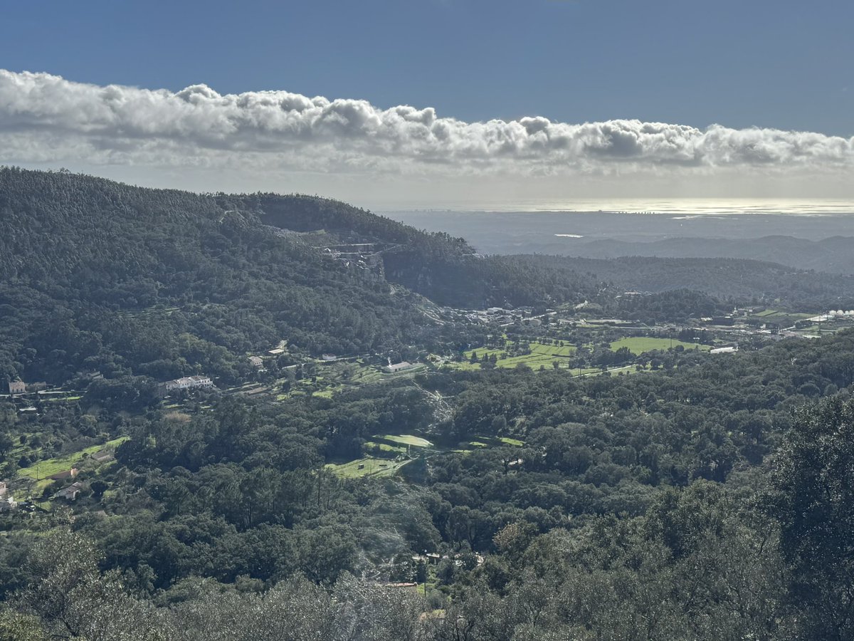 sentiencehere's tweet photo. Almoço com vista.
#lifestyleinfluencer #contasatírica https://t.co/WATn25D95W