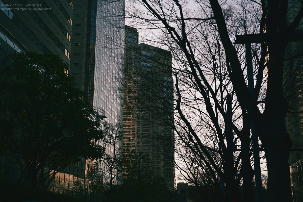 遮蔽された夕景」 この写真に関連して、身勝手な撮影者の振る舞い