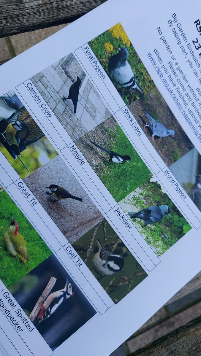 West Norwood Cemetery tweet media