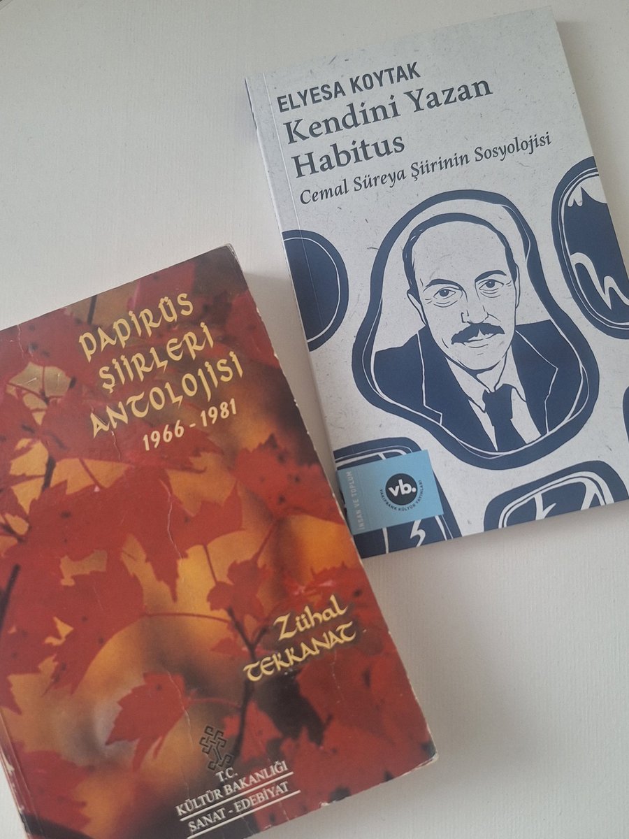 İkinci Yeni'nin doğuşunu şehirleşme, Menderes etkisi gibi dışsal faktörlerden ziyade Süreya ve Karakoç'un sosyo-poetik ve sosyo-politik hikayelerinde arayan; müesses nizamın dışından gelen şair öznenin merkezi şekillendirişi üzerine çok ikna edici bir metin Kendini Yazan Habitus.