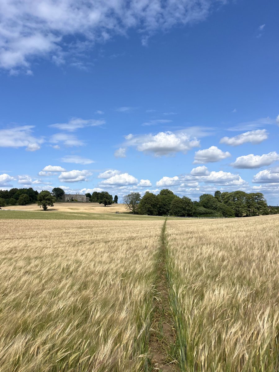 hikingshawty's tweet image. dreaming of long summer walks