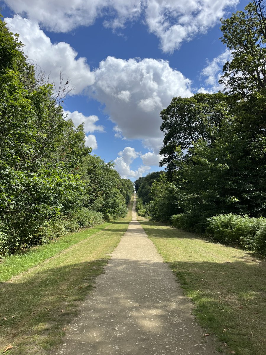 hikingshawty's tweet image. dreaming of long summer walks