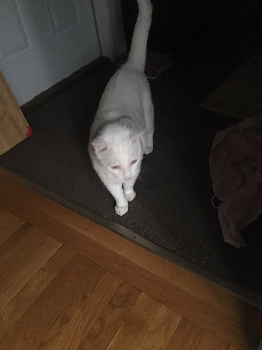 Shoals Creek Bridge report. Olaf reports traffic is moving slowly on Hwy 72 on and off the bridge. People are slowing down but still moving.