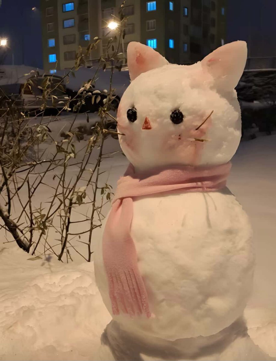 bosunatiklama's tweet image. Diyarbakır'da bir çocuğun yaptığı kardan kedi: