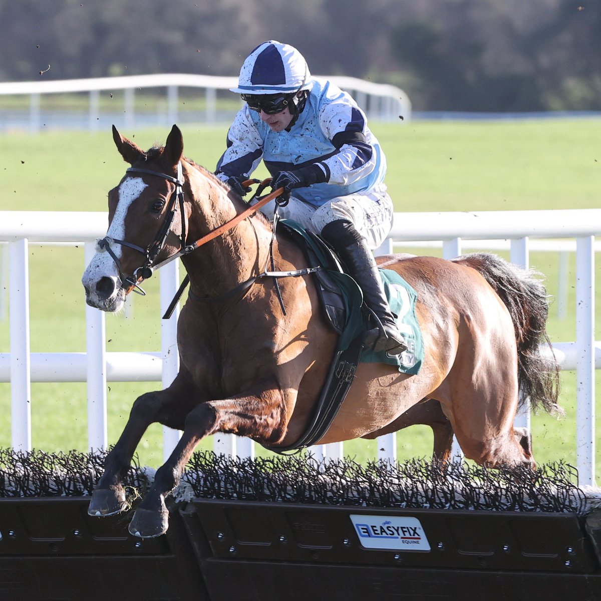 FEET OF A DANCER wins the Grade 2 Yorkshire Rose Mares' Hurdle at Doncaster 🎉