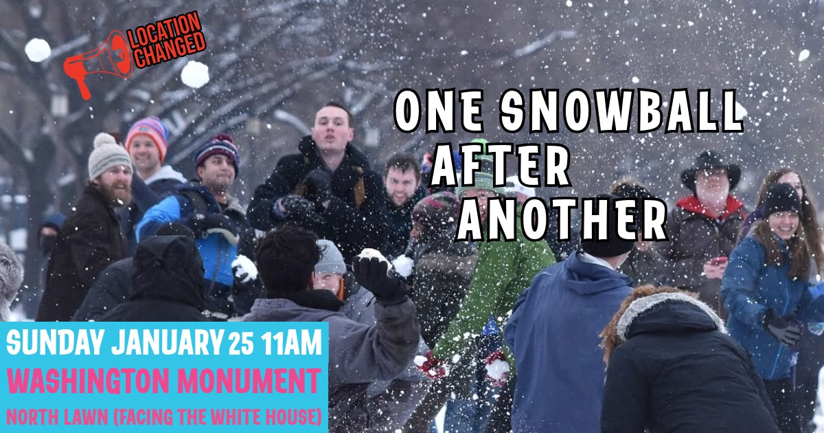 Washington DC Snowball Fight Association tweet media