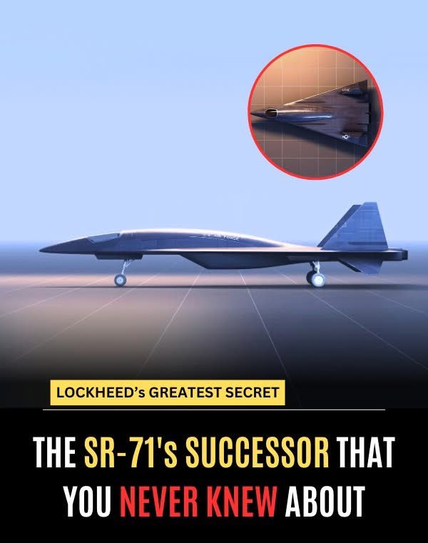 Chris Bolton tweet media