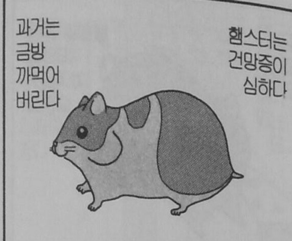 hotmandooo's tweet image. 