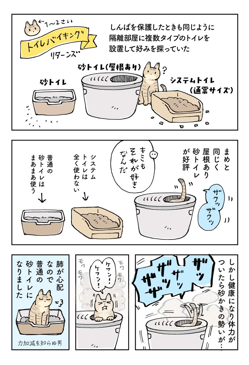 ねこのトイレ、どのタイプを設置しようかな?と探っていたときのはなし【しんば編】です
好みがそのまま実装されるとは限らない…… 