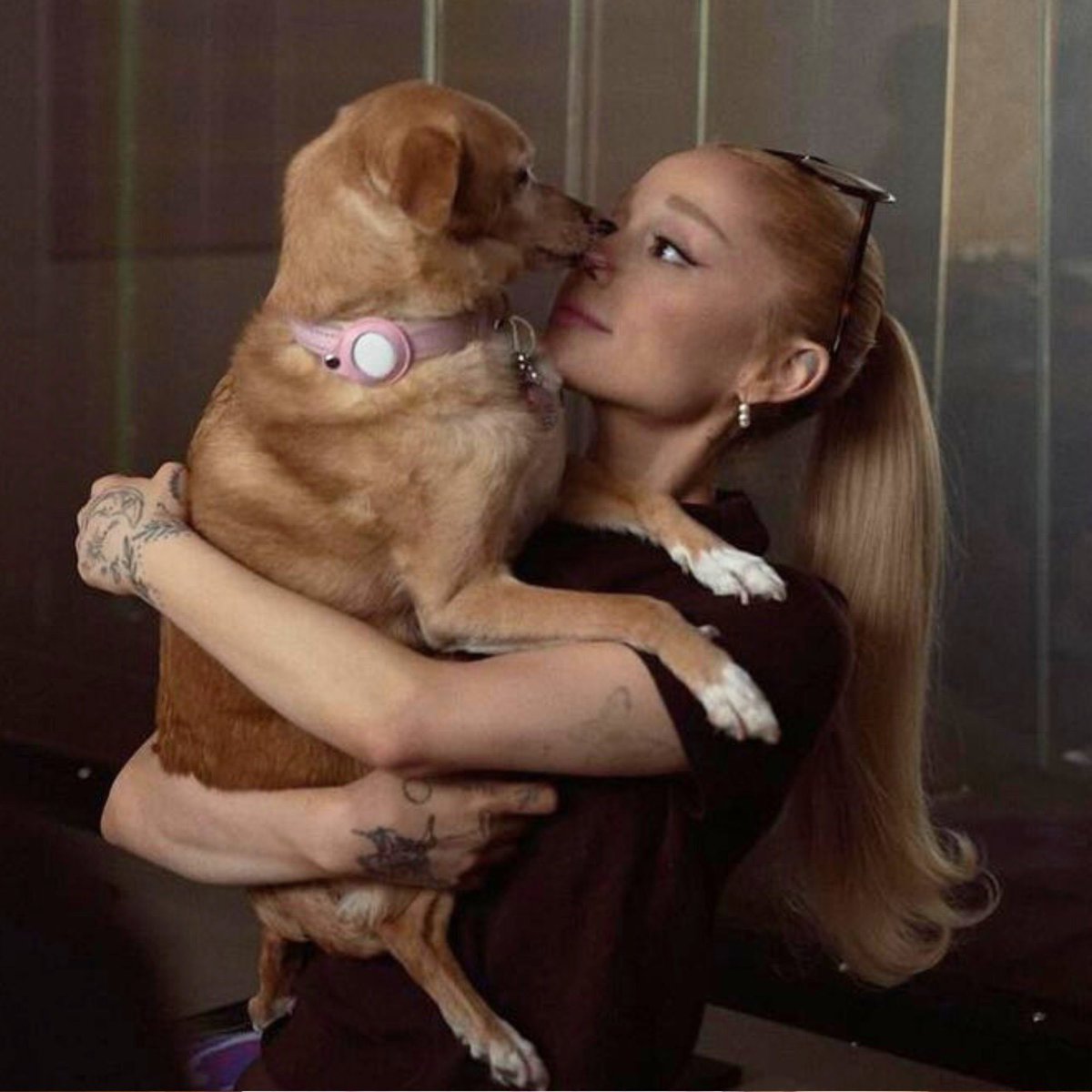 acervoarii's tweet image. 🚨 ASSUNTO SÉRIO!

Nos como página de fãs da Ariana Grande não podemos nos calar perante o absurdo que aconteceu com o cãozinho Orelha em Florianópolis.

Não se calem! Vamos user as redes, engajar e pedir #JustiçaPorOrelha.