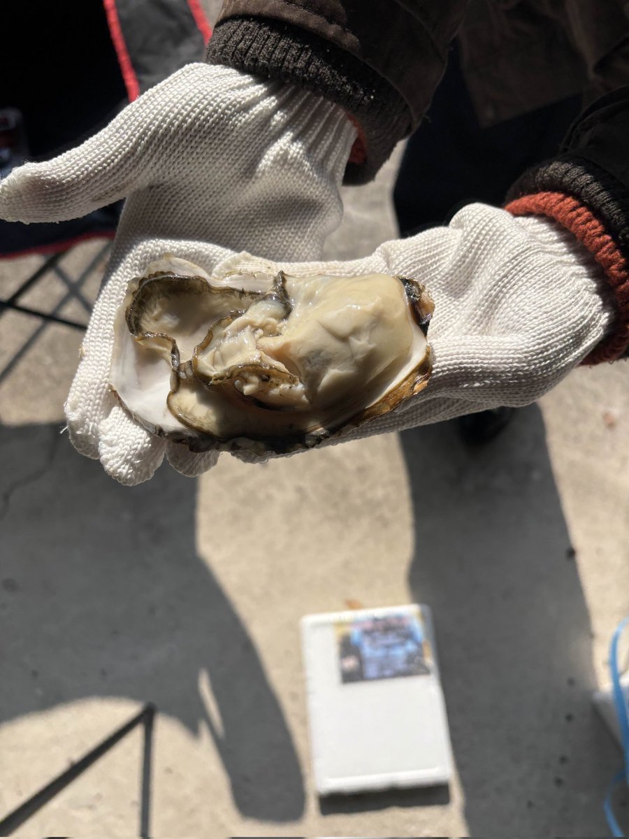 今日こういう感じでした