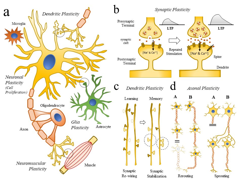 Intelligence isn't knowing more

It's the ability to rewire your brain faster.