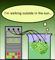 DBS } Dying Brand Society tweet media