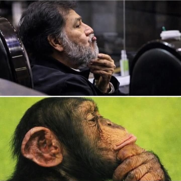 CandyHoneyLiz's tweet image. Encuentra una diferencia.