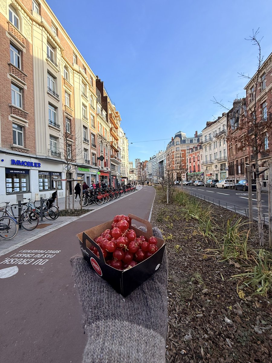 Asmaa Namoos MD MPH PhD tweet media