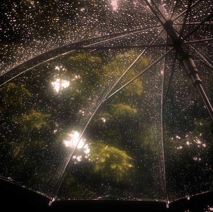 gIoomyweather's tweet photo. https://t.co/3lkVvuEexc