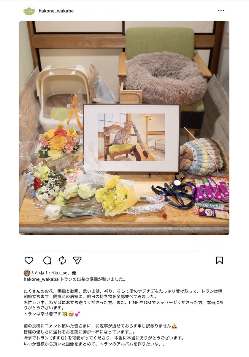 本喫茶わかば (@hakone_wakaba) on Twitter photo 