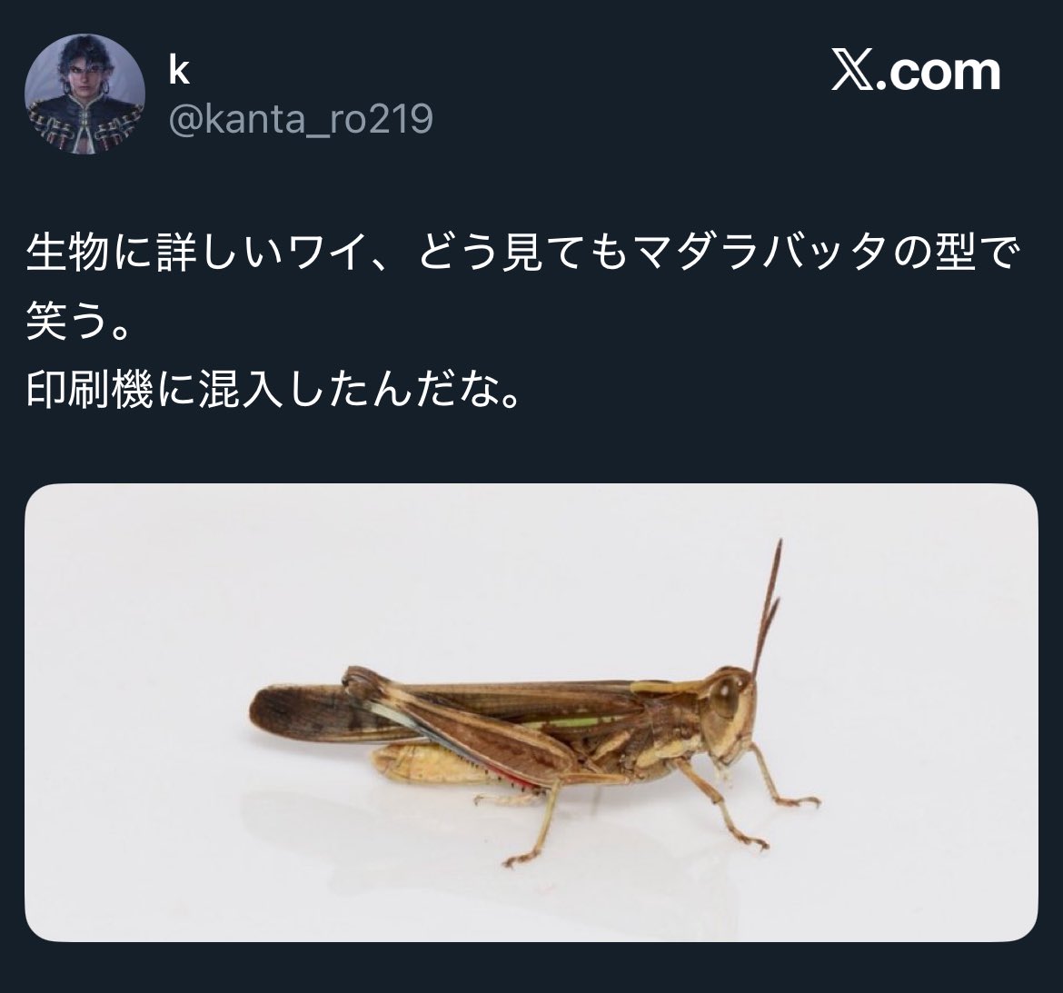 バッタテレパスエネルギー、特定される。 #ポケカ #ポケモン