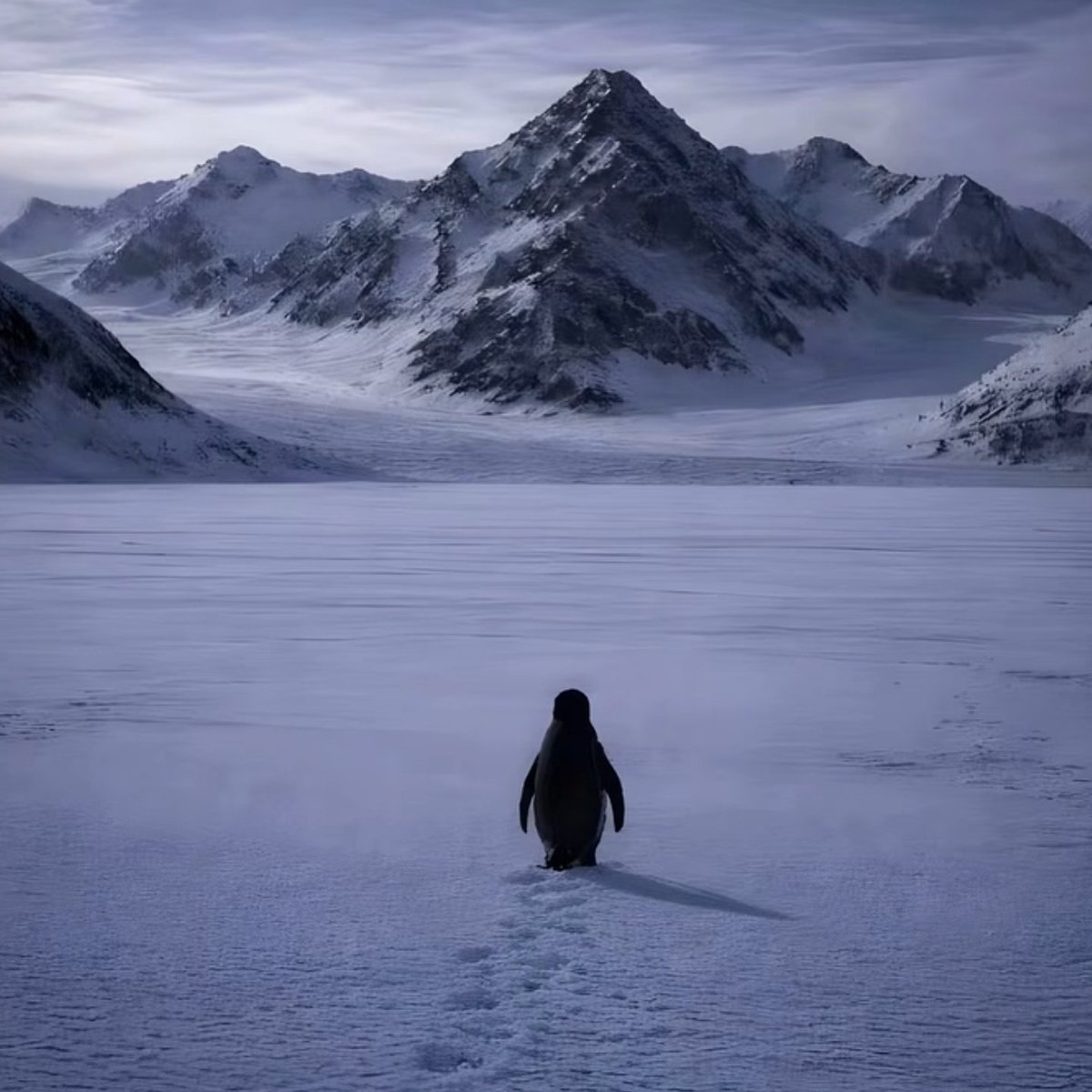 me if PBKS doesn't win a trophy this year