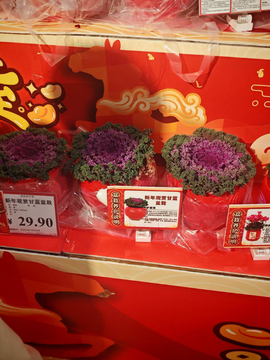 uaih3k9x (@uaih3k9x) on Twitter photo 