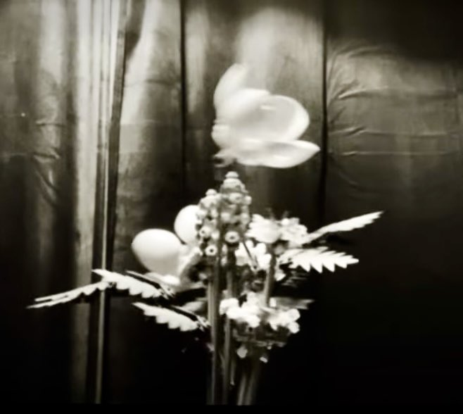 Paul 'Muso' Mansell tweet media