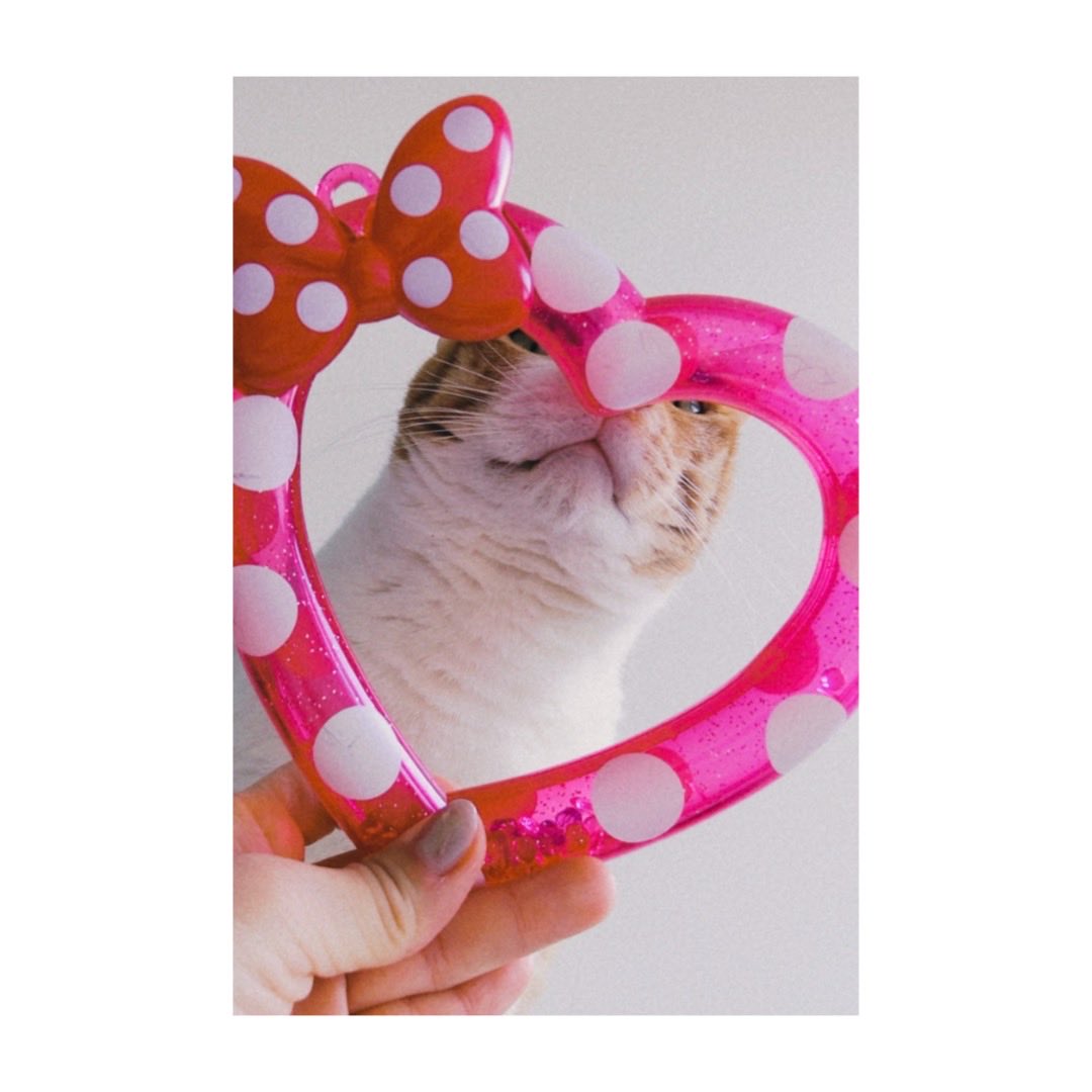 amiaimi31's tweet photo. いま流行りのやつ🎀 https://t.co/7YytSBP6Cx