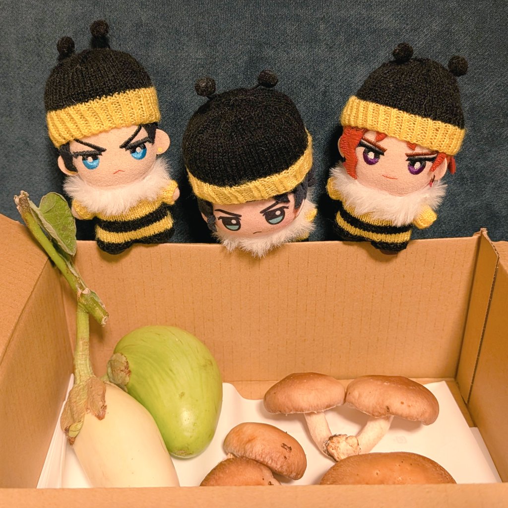 koputa222's tweet image. ㊗️農園再開㊗️
ビアンカちゃん(白ナス)につやつや青ナスちゃん、なかよししいたけさん

椎茸、仲良しさんのまま調理できるかな…😂