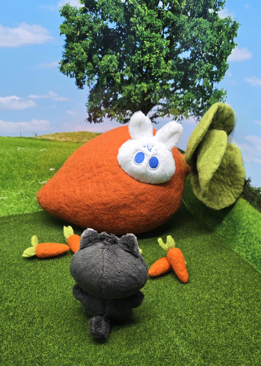 깜새 하민 🐈‍⬛🌱 tweet media