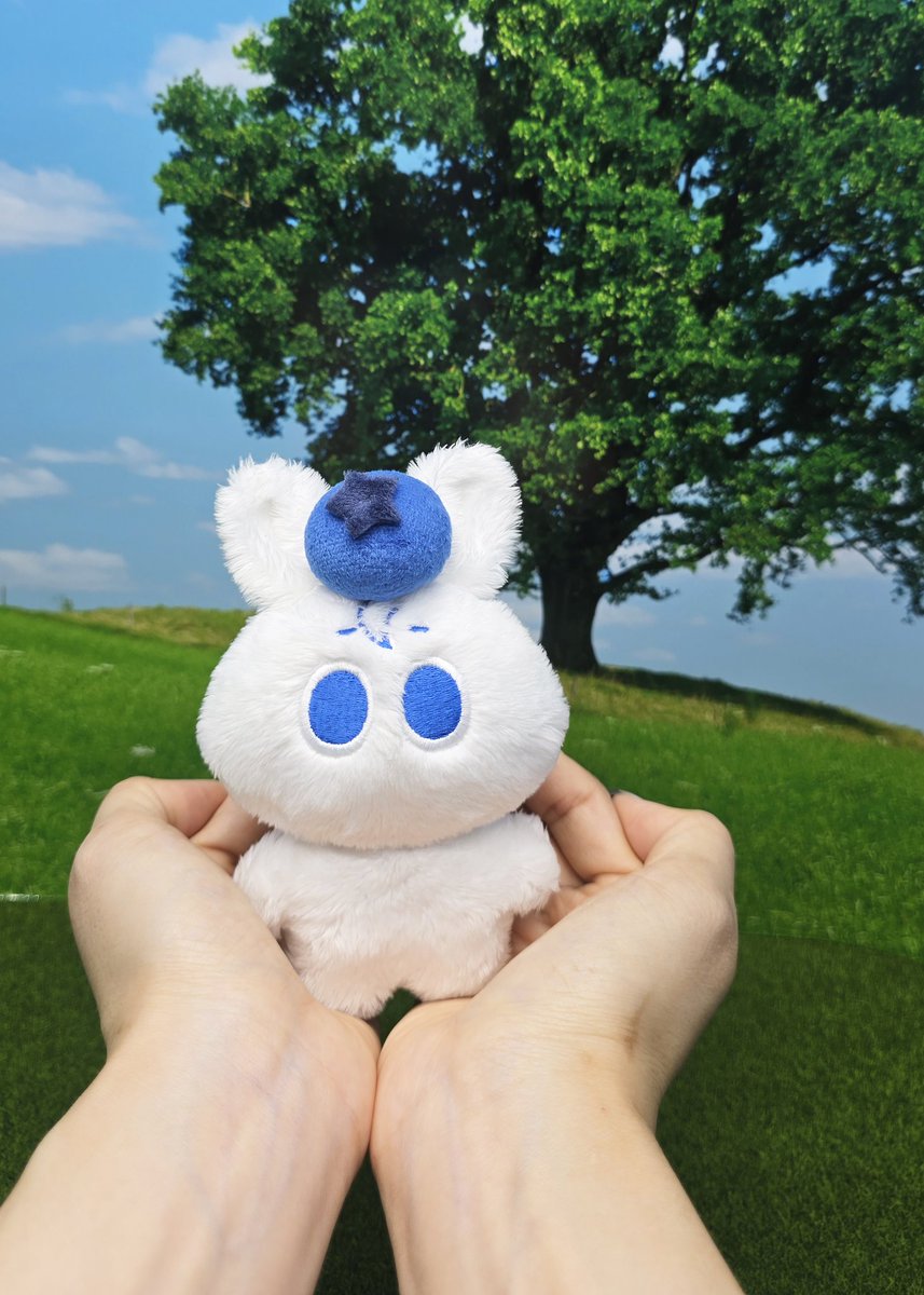 깜새 하민 🐈‍⬛🌱 tweet media