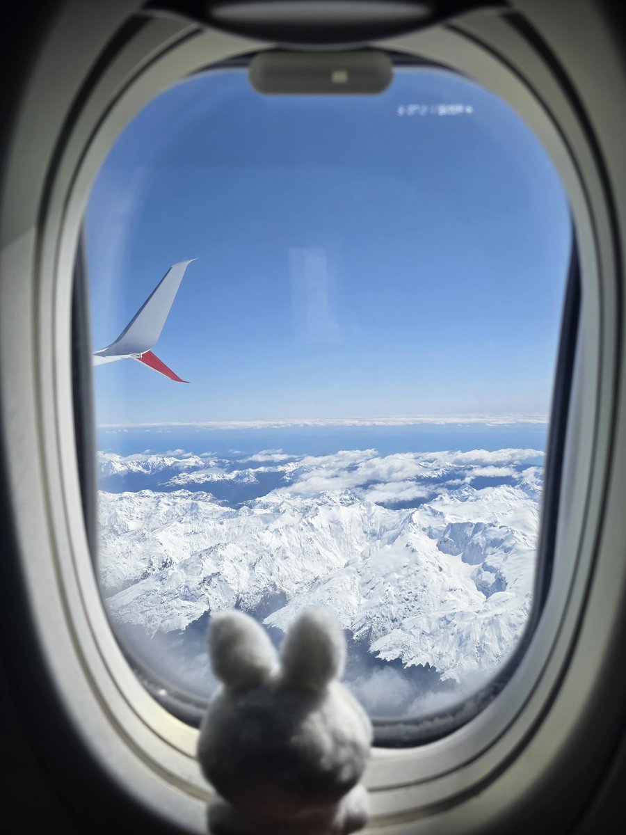 깜새 하민 🐈‍⬛🌱 tweet media