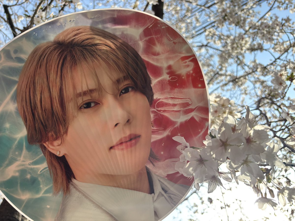 ようか tweet media