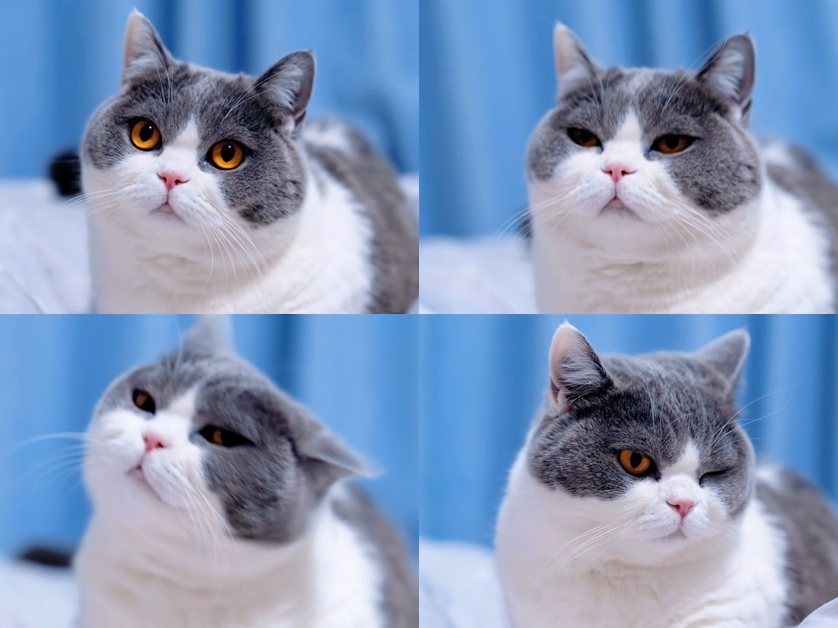 ILRyujin17's tweet image. 20260124 MS

#ITZY #있지 #RYUJIN #류진 #リュジン #申留真