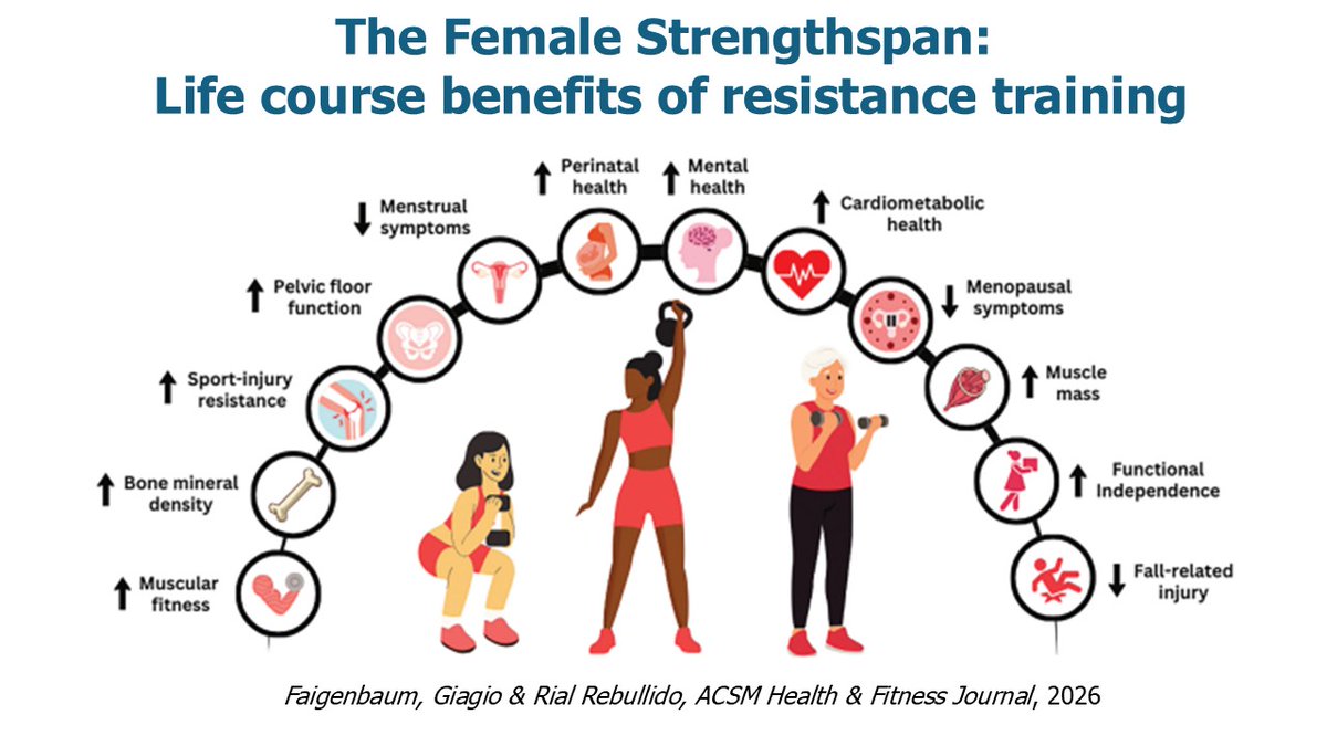Avery Faigenbaum tweet media
