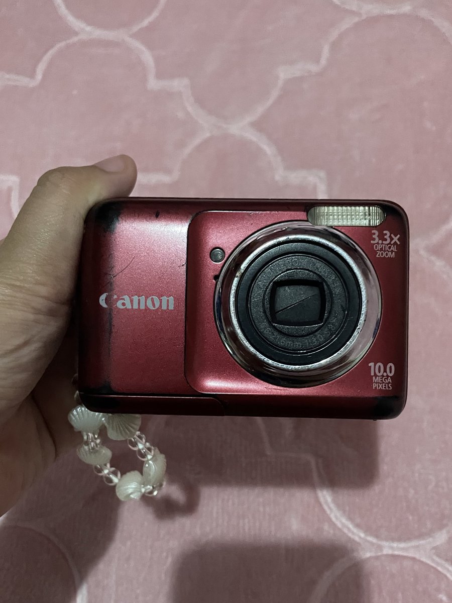 loveethecat tweet media