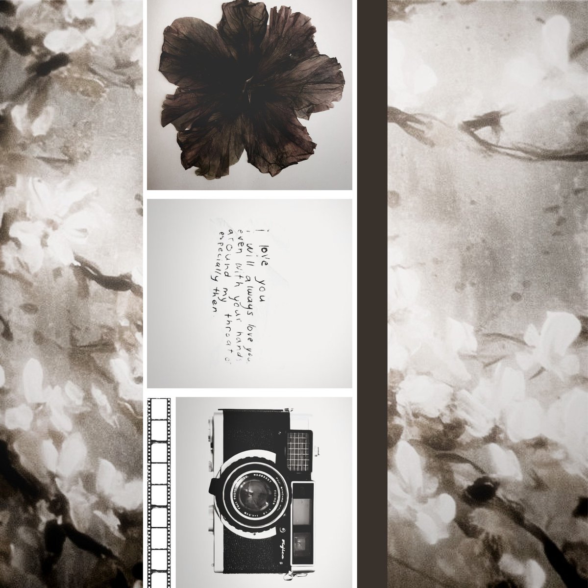 lee 🍒 tweet media