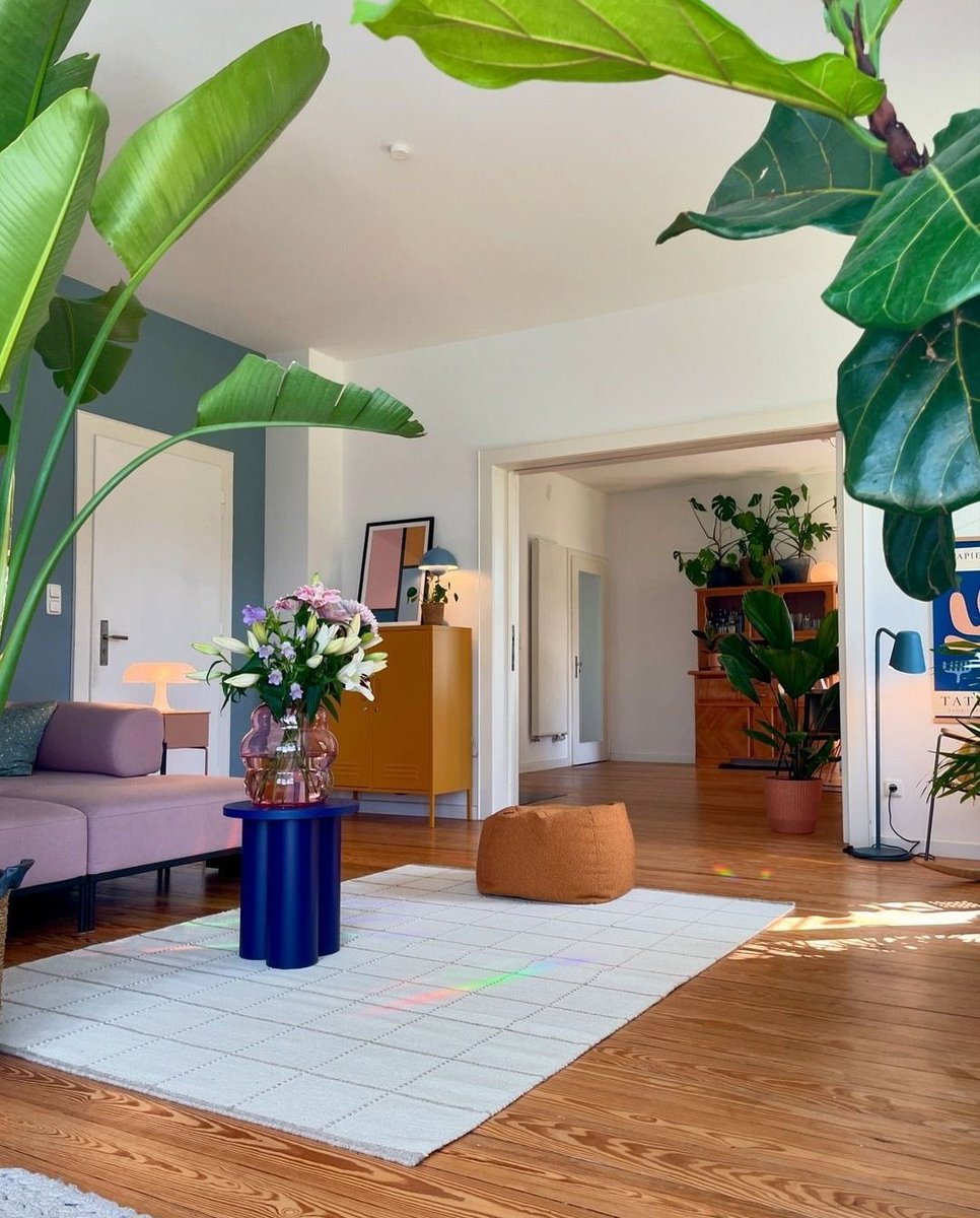 interiorsuckerr's tweet image. 