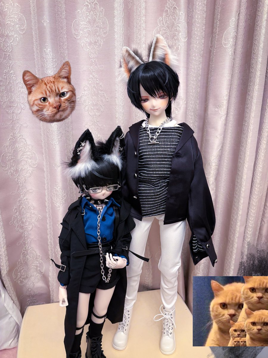 🍀くろまめ🍀 (@Ri56712) / Posts / X