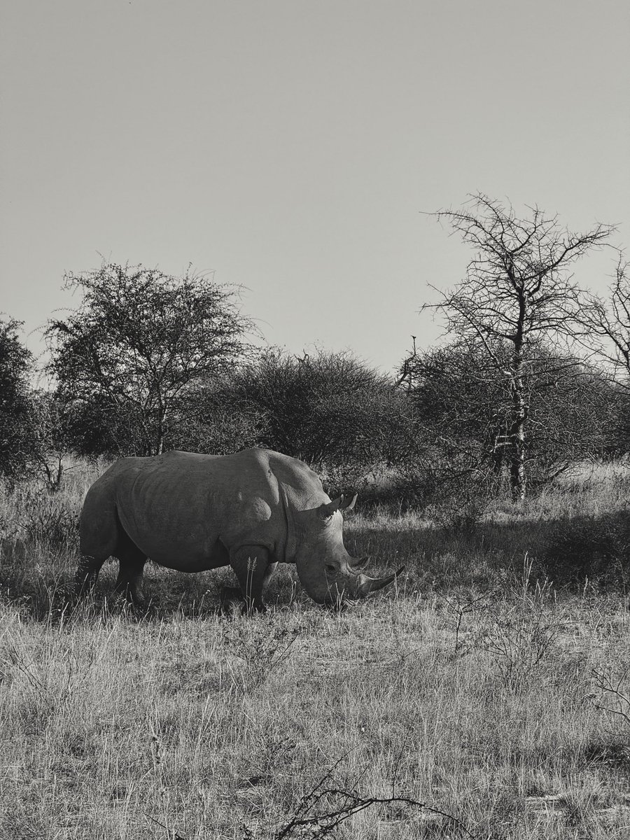 DylanCalluy's tweet image. iPhone Content