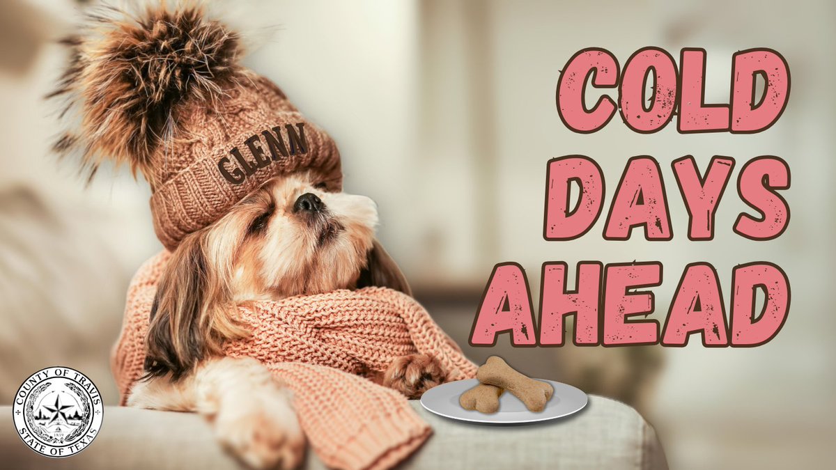 Travis County Emergency Services tweet media