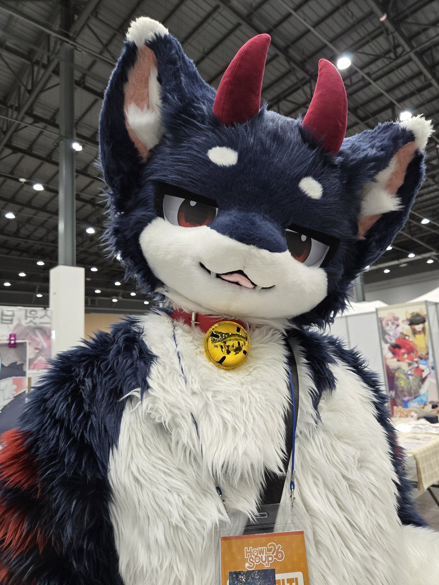 누비🔜FurstClass tweet media