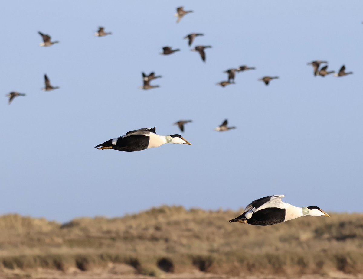 Ashley Saunders tweet media