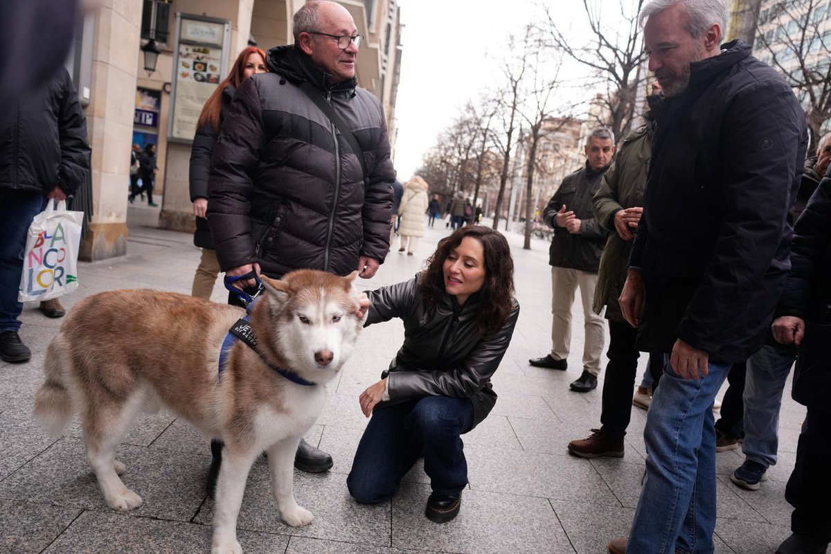 Isabel Díaz Ayuso tweet media