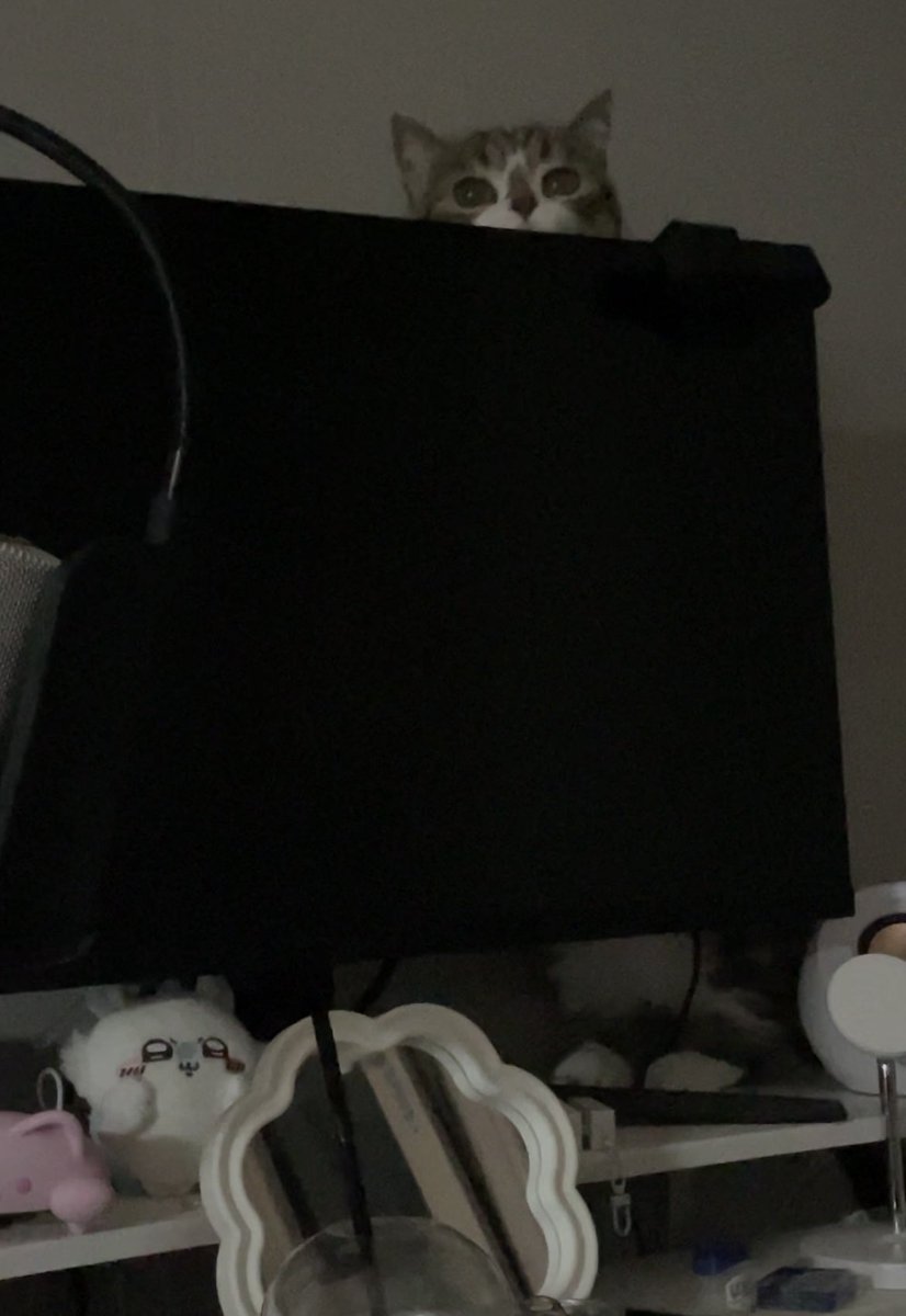 라떼12 tweet media