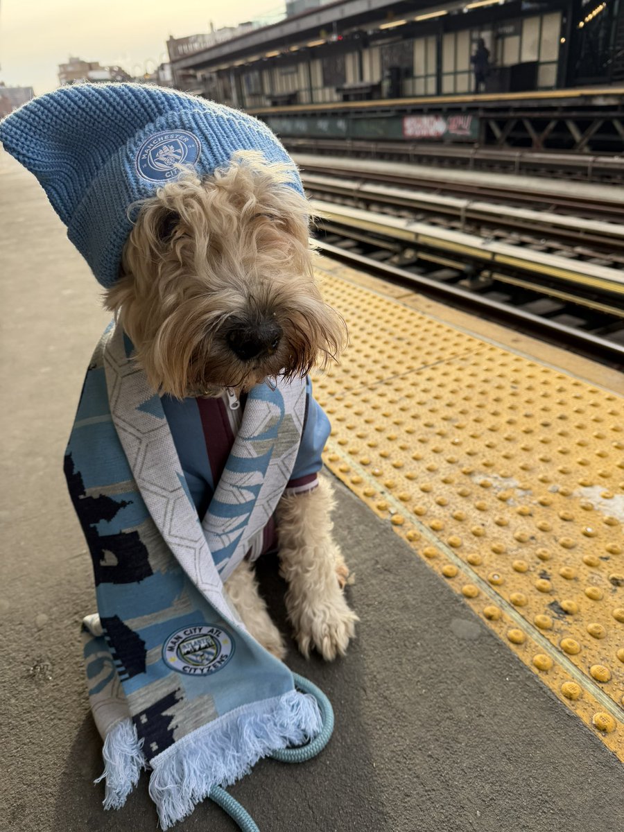 Stay warm today blues. <a href="/newyorkskyblues/">New York Sky Blues</a> <a href="/ATLCityzens/">ATL CITYZENS</a> <a href="/ManCityUS/">Manchester City US</a> <a href="/ManCity/">Manchester City</a> <a href="/ManCity/">Manchester City</a> <a href="/PLinUSA/">Premier League USA</a> ⚽️🩵🐶 #MCFC #ManchesterCity #ManCityOSC #MyPLMorning #PL #NewYorkSkyBlues #PremierLeague #NYC <a href="/premierleague/">Premier League</a> <a href="/NBCSportsSoccer/">NBC Sports Soccer</a>