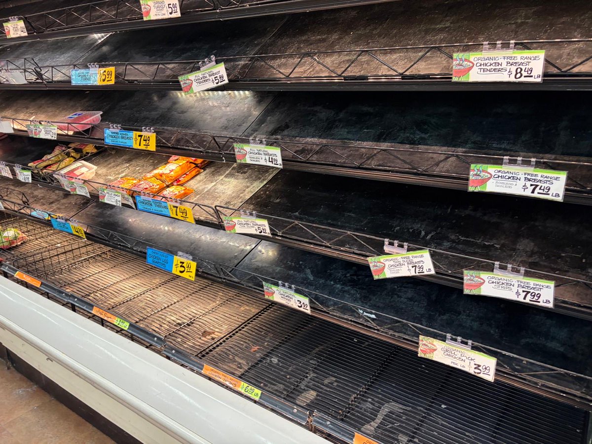 Tomer Cooks tweet media