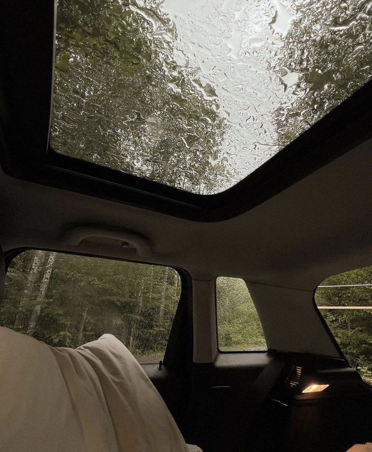 gIoomyweather's tweet photo. the sound of the rain https://t.co/3OmJ5XXNaA