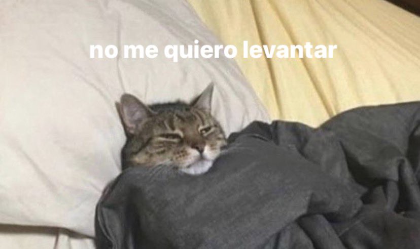 otro día mas sufriendo porque a la noche me cuesta dormirme y a la mañana me cuesta levantarme